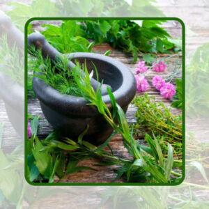 آموزش پرورش گیاهان دارویی