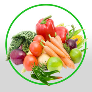 پرورش صیفیجات